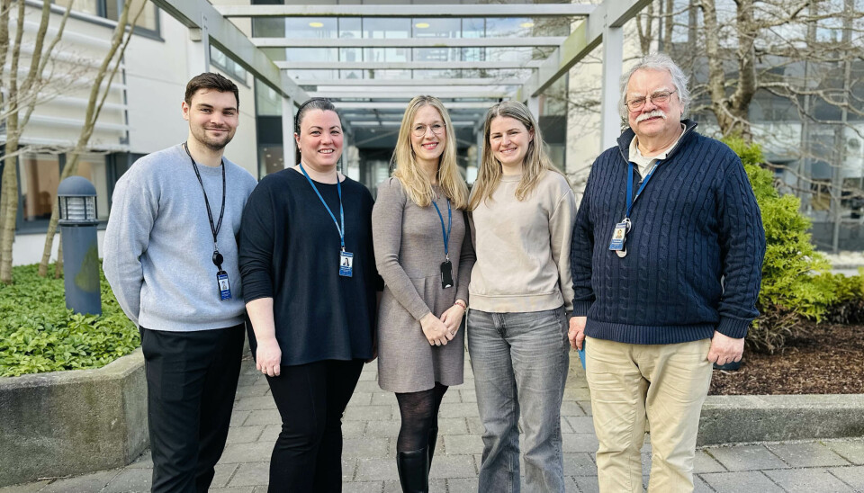 Jørgen Eilelsen, Ingeborg Knapstad, Therese Landås, Irene Mortveit Ellingsen og Per Otto Årland er noen av de som blant annet jobber med sertifikater i Sjøfartsdirektoratet.