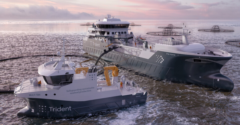 Illustrasjon av de to nye fartøyene Trident Aqua Services har bestilt: en brønnbåt med 4000 m³ kapasitet og et 27 meter langt servicefartøy. Begge skal bygges med batterihybrid drift.