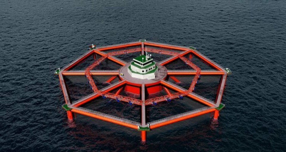 Skisse over konseptet som beskrives som 'en helhetlig løsning for åpent hav'. Illustrasjon: MariCulture AS
