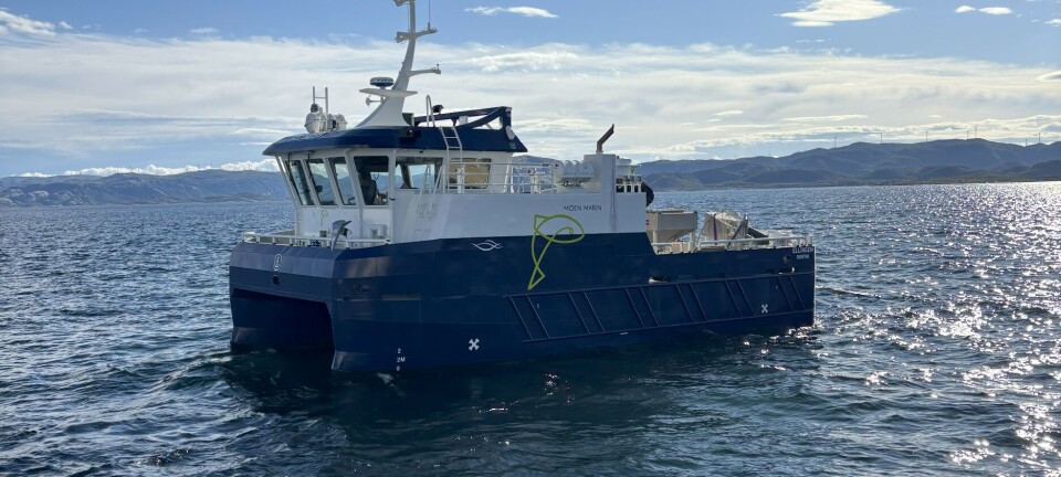 MS «Ellingen»