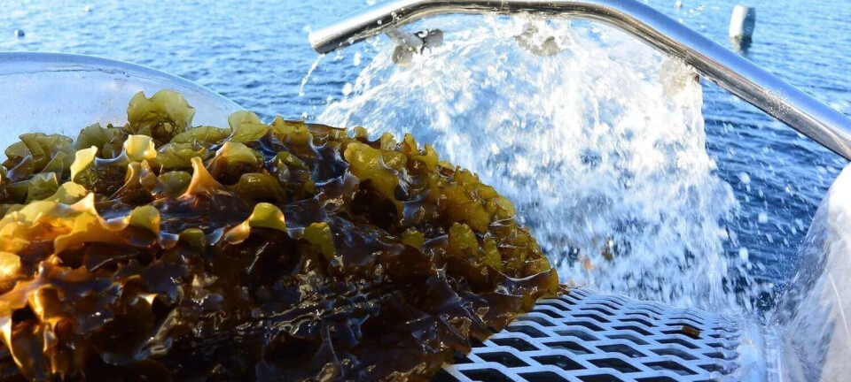 Samlet Skandinavia for å diskutere hav, miljø og fiskeri