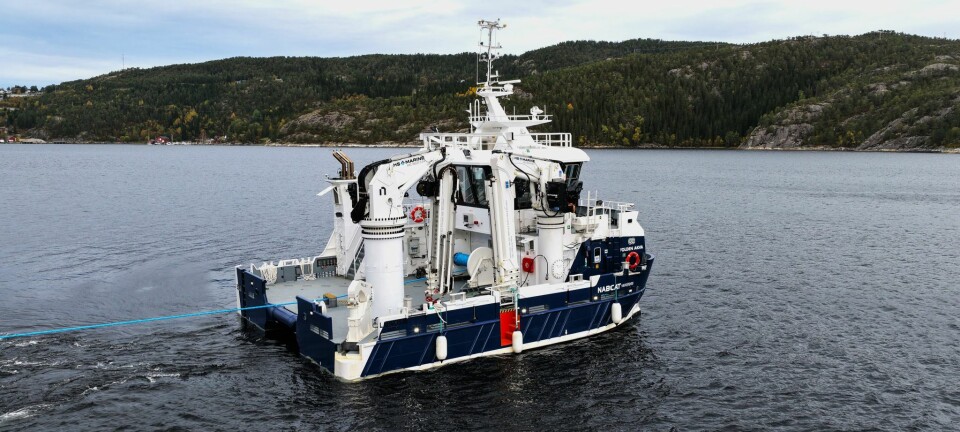MS «Veidnes»