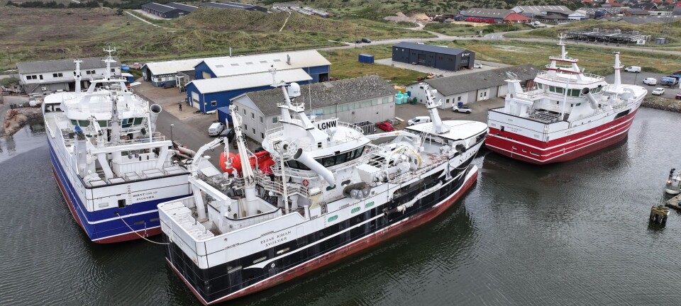 Bygger norske fiskefartøy på løpende bånd