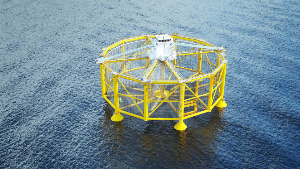 Salmars havmerd er hele 68 meter høy og veier 7000 tonn. Foto: Salmar.