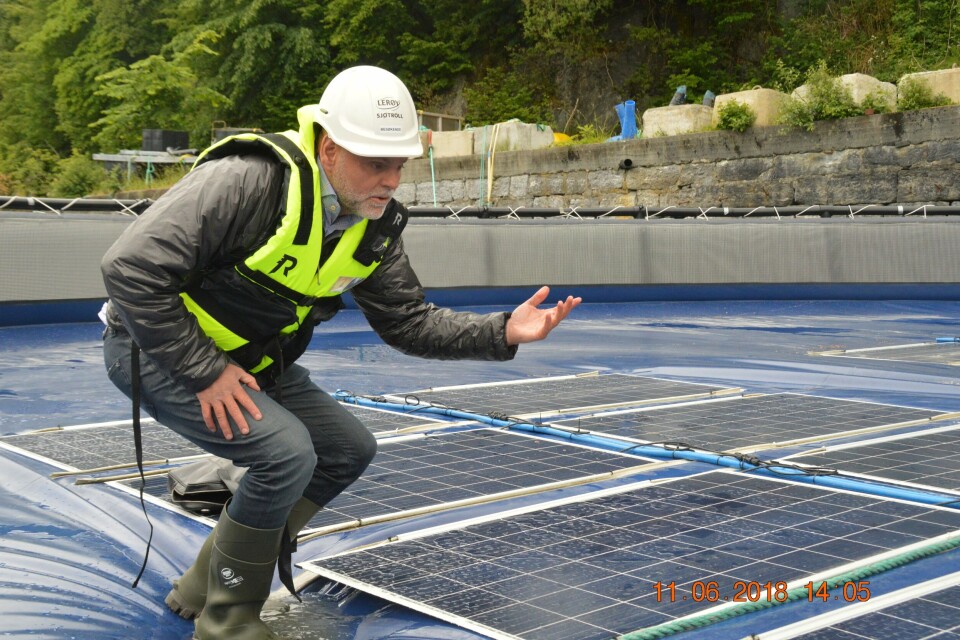 Børge Bjørneklett i Ocean Sun mener at solenegi vil bli en viktig energikilde også lands norskekysten. Foto: Gustav Erik Blaalid