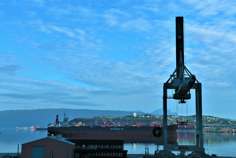 Malmutskipingen fra Narvik er økende. Foto: Sigbjørn Larsen.