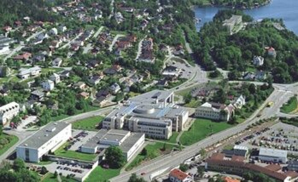 Her ved høgskolen i Ålesund har 95 søkt maritim høgskoleutdanning i år. Bygningen i forgrunnen er nå oppusset og rommer teknisk fagskole som også i år har svært god søkning. Det har ellers vært bra søkning til alle fire maritime høgskoler.