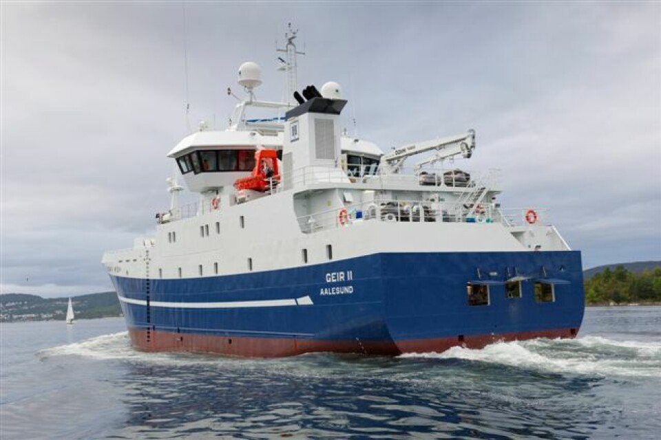 Bildet viser 'Geir II'.