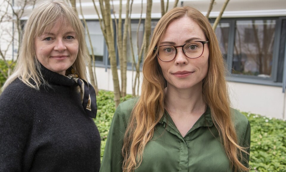 Nullutslipp i verdensarvfjordene fra 2026