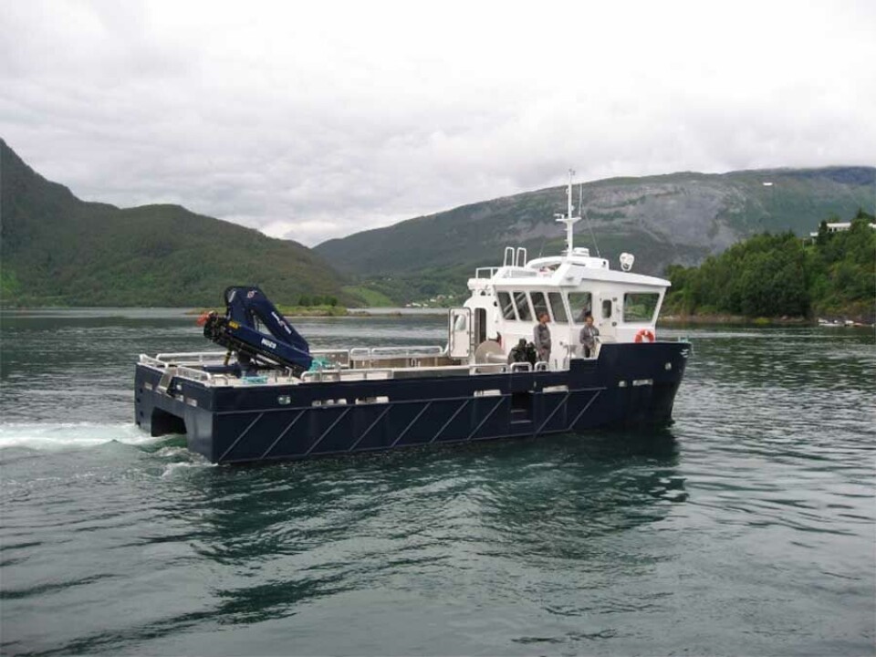 Bnr 96 - Fugløy