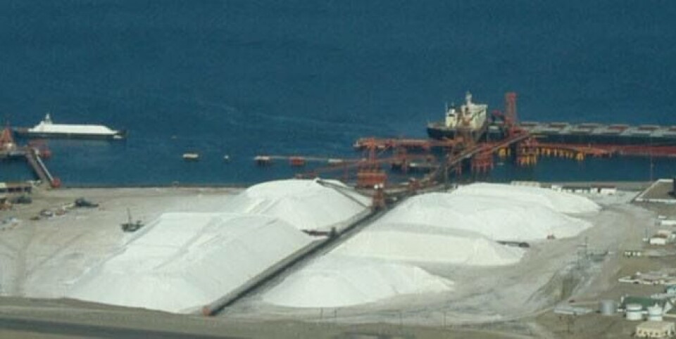 Mexican Salt Exporter with environmental leadership