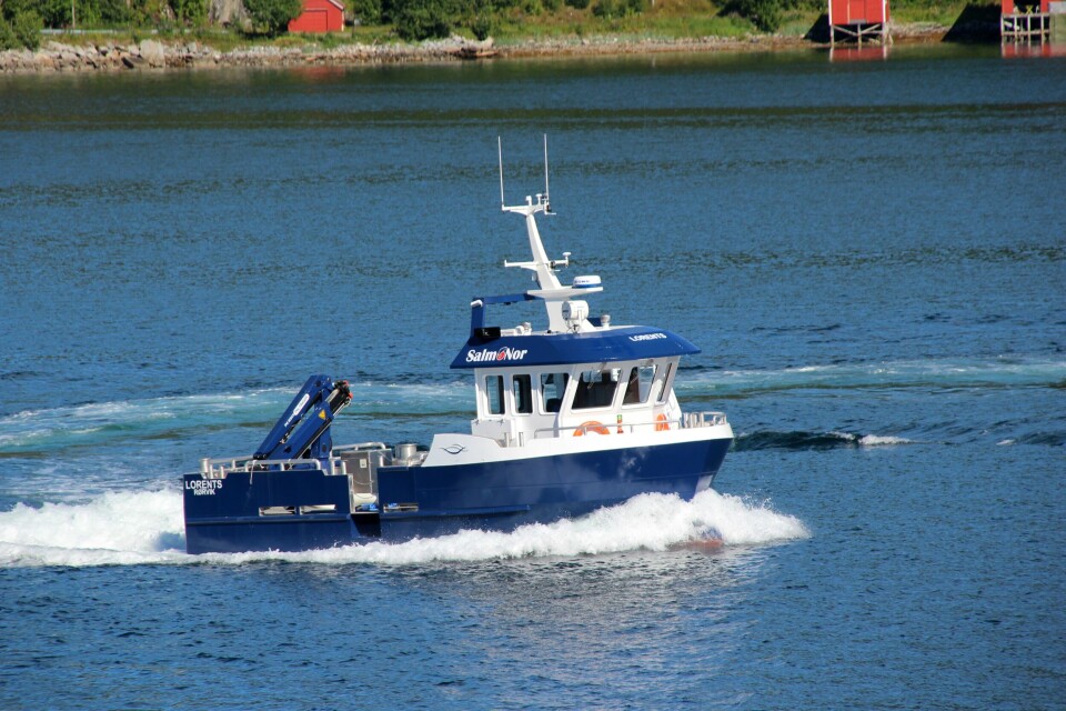 Foto: Moen Marin