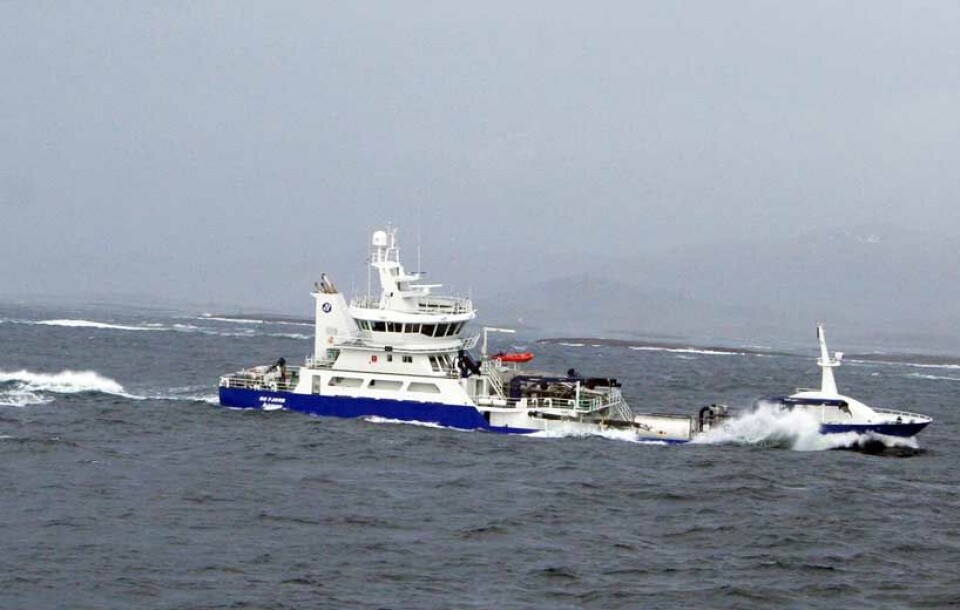 “Ro Fjord”: En søkklastet moderne brønnbåt slingrer seg inn mot Saksa og Buholmråsa på veg mot sør etter å ha passert Folda. Foto: Øystein Rysst