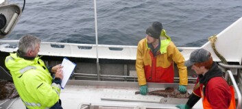 Havforskningsinstituttet utvider kystreferanseflåten