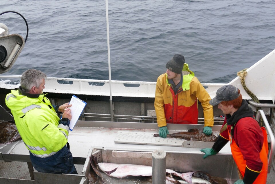 Havforskningsinstuttet utvider kystreferanseflåten med nye fartøy. Foto: Havforskningsinstituttet