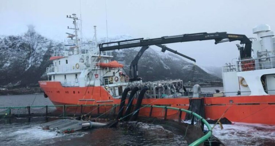 Første avlusing til Aas Kystservice ble gjort med avluseren FLS 3x50t. Foto: Aas Kystservice.