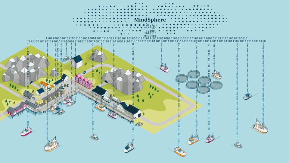 Elektrifisering av fiskeflåten kan halvere CO2-utslipp