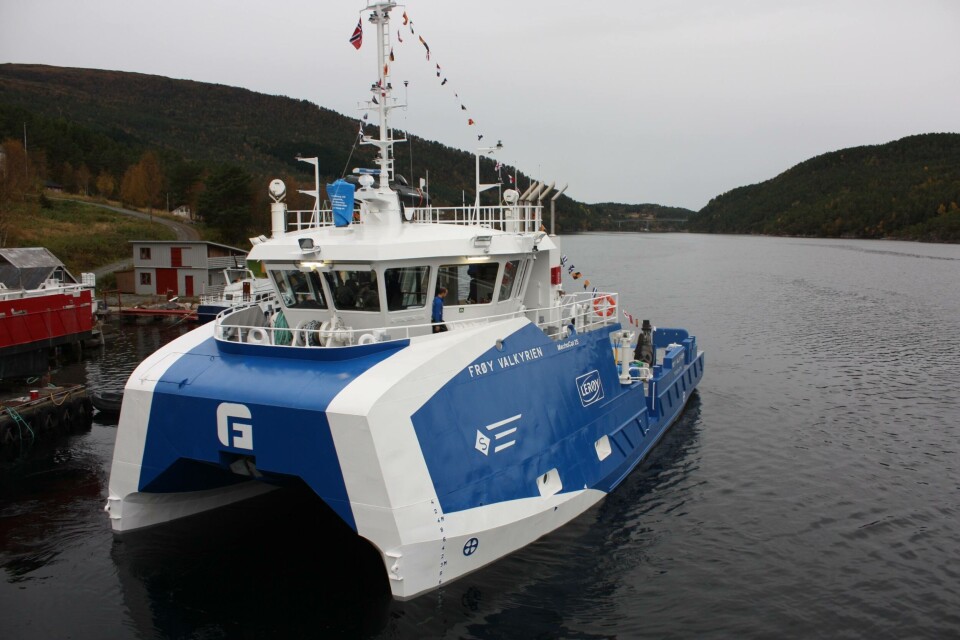 Elmarin fra 17 til 37 ansatte på halvannet år