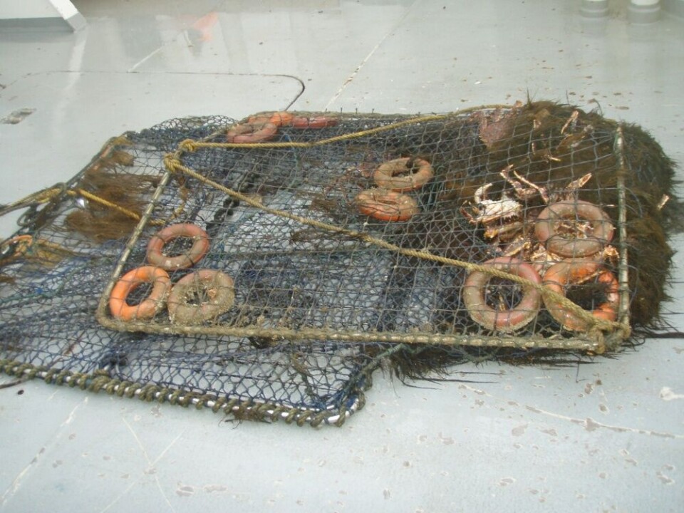 Illustrasjonsfoto: Fiskeridirektoratet