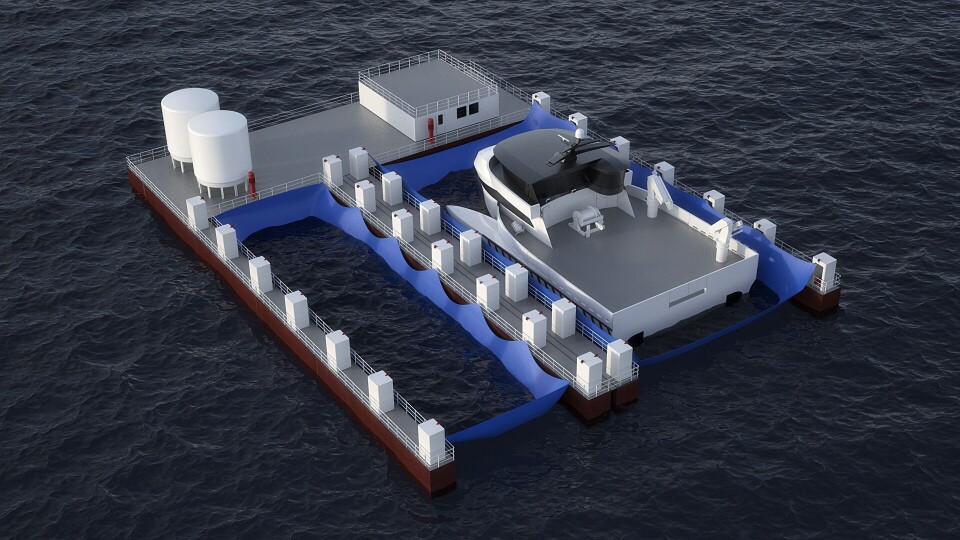 Ill. viser et lite anlegg. Utriggernme kan om ønskelig reguleres i lengde slik at også store båter kan dokkes. Ill.: LMG Oilcraft