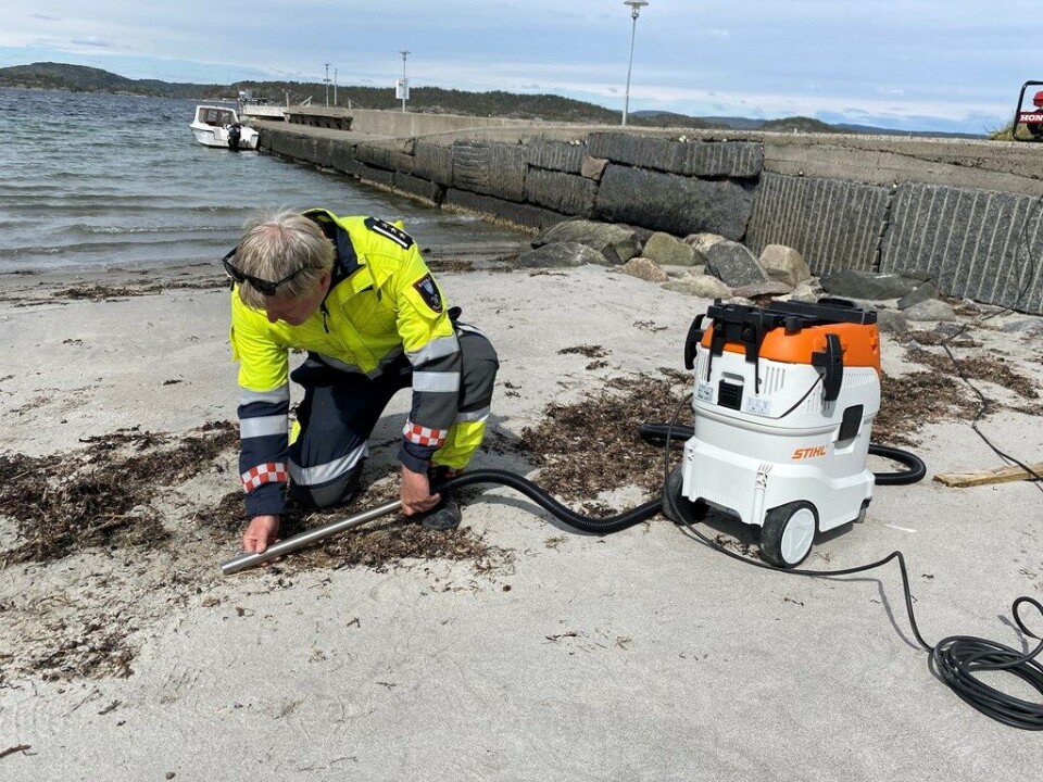 Kystverket ønsker observasjoner fra publikum for å finne plastpellets. Her er ryddearbeidet i gang på Jomfruland. Foto: Kystverket.