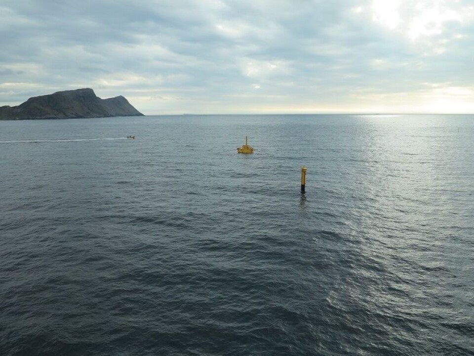 Her er installasjonen utenfor Runde. WaveEL med hub. Foto: Waves4Power.