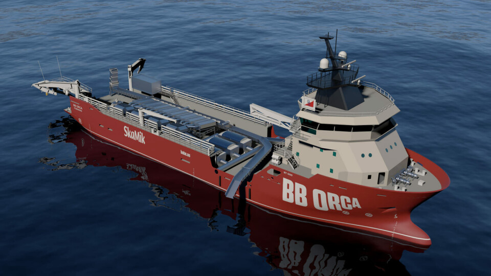 Video: Lizbeth Osnes