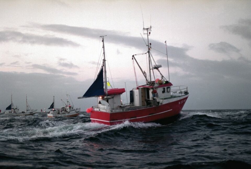 Foto: Norges Sjømatråd