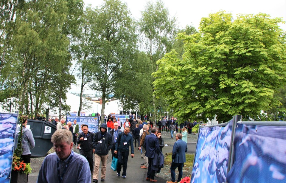 Se våre blinkskudd fra dag to av Nor-Fishing