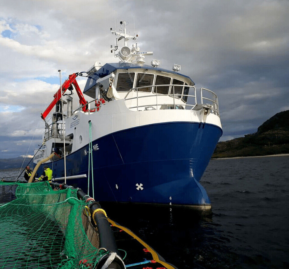 MS Skarsfjord. Foto: ShellSea.