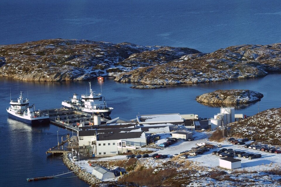 To av skipene i flåten til Sølvtrans under kai ved Marine Harvest AS anlegg på Ulvan på Hitra. Den største, er Ronja Harvester, til høyre, som har en lastekapasitet på 1900 m3 mens Ronja Superior har lastekapasitet på 1040m3. Arkivfoto: Sølfvtrans
