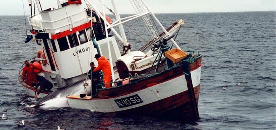 Foto: Norsk Kvalfangermuseum