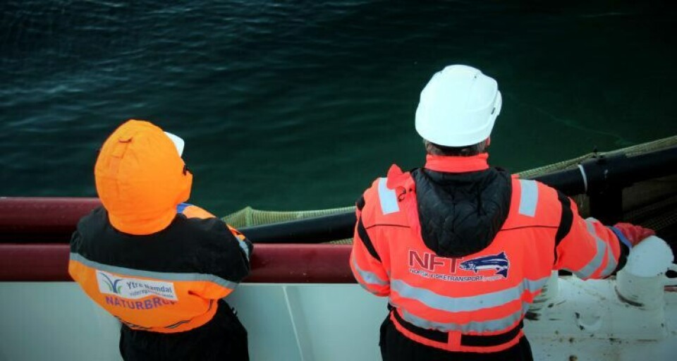 Illustrasjonsbilde av lærling/utplasseringselev om bord i Norsk Fisketransport AS. Foto: NFT/PKOM.