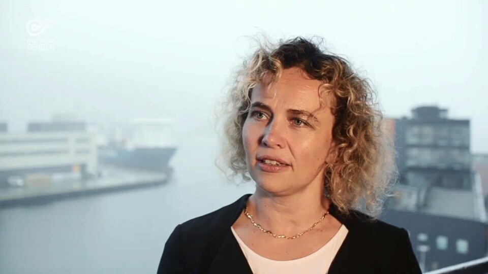 Sniktitt på Marinade 2015-programmet