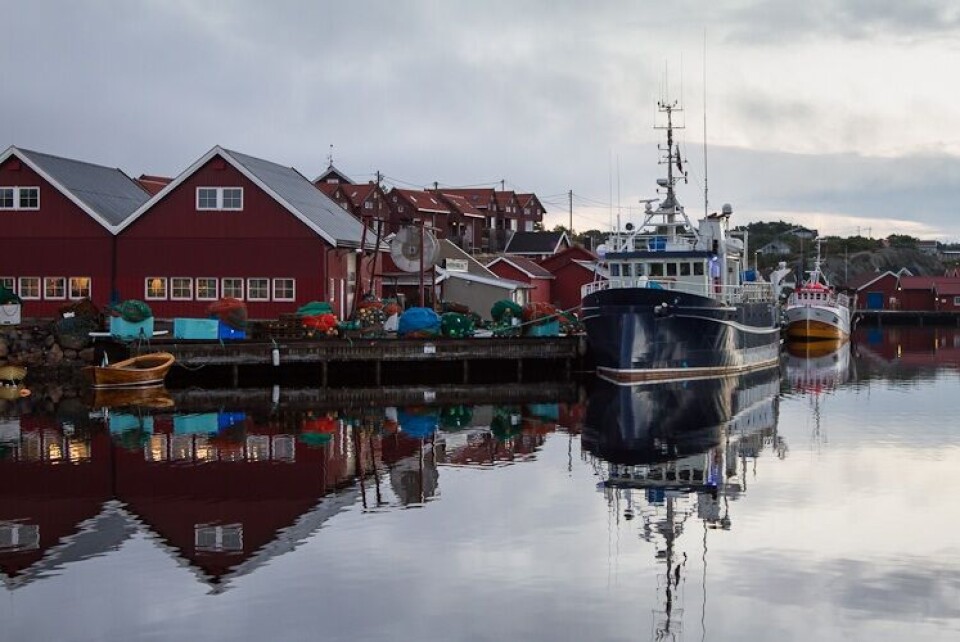 Til kai ved Udgårskilen Foto: Havforskningsinstituttet