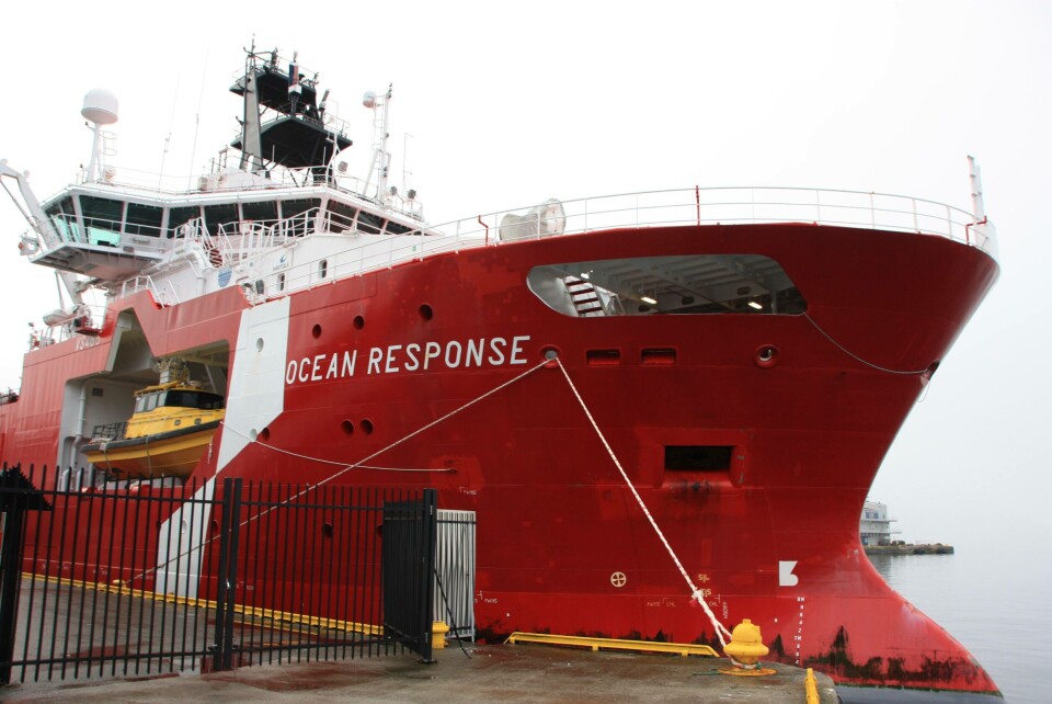 Se et stort bildegalleri nederst i saken. Foto/Video: Margarita Savinova.