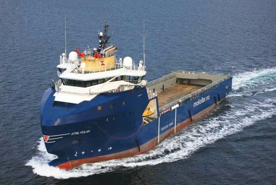 «Stril Polar». Foto: Harald Valderhaug