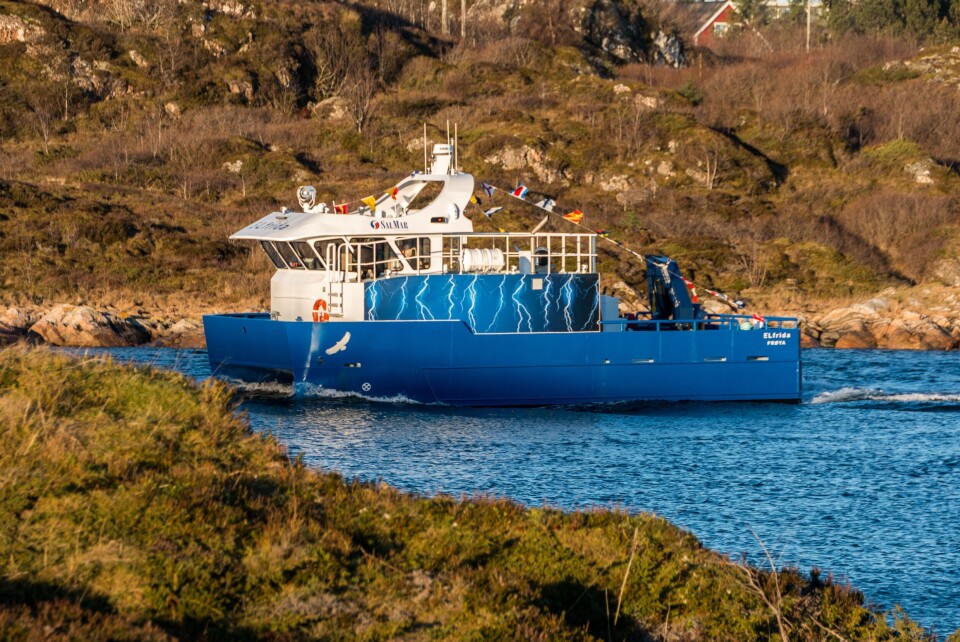 ELfrida har fått stilige selvlysende lyn påmontert på sidene av fartøyet for å synliggjøre at den er elektrisk. – Lynene skal illustrere himmel og energi, sier Eskil Bekken i Salmar Farming. Foto: Siemens
