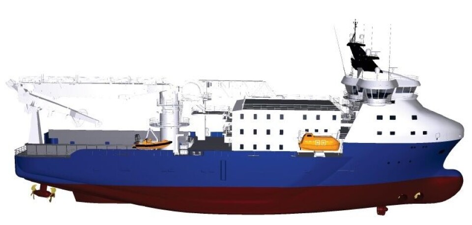 vestland cygnus.fjellstrand