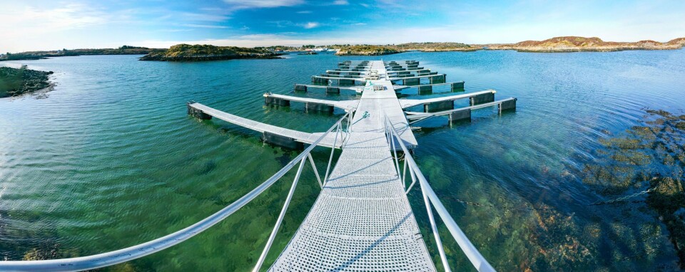 12 innovasjonsprosjekter i havnæringene er tildelt 126 millioner kroner fra Forskningsrådet. Foto: Forskningsrådet